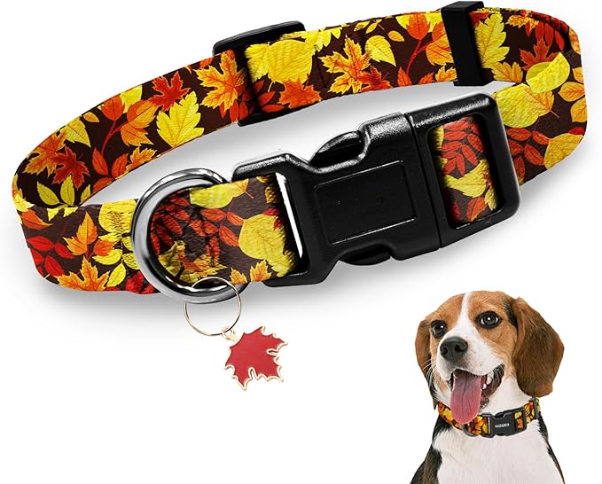 Kazazoo Dog Collar Cute and Soft Nylon Puppy Collar for Boy and Girl, Adjustable Dog Collars for Small Medium Dogs, Maple Leaf-M