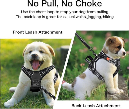 Petmolico No Pull Dog Harness Set with Leash Attachment Easy Control Handle Reflective Harness Vest Small Breed, Puppy Vest and Leash Set with Poop Bag Holder, Small - Black
