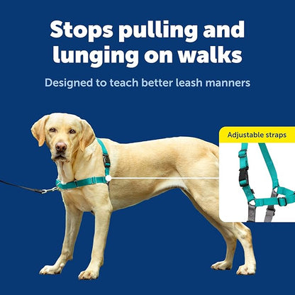 PetSafe Easy Walk Harness for Dogs - Pull-Free Walks - Patented Martingale Loop Design - Front Chest Leash Attachment - Comfort Straps - Breathable Harness Design - Large, Teal/Gray