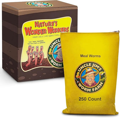 Uncle Jim's Worm Farm 250 Count Mealworms for Reptiles and Chickens | Mealworms for Feeding Lizard, Gecko, Bearded Dragons, Chickens, Birds, and More | Suitable for Fishing Bait