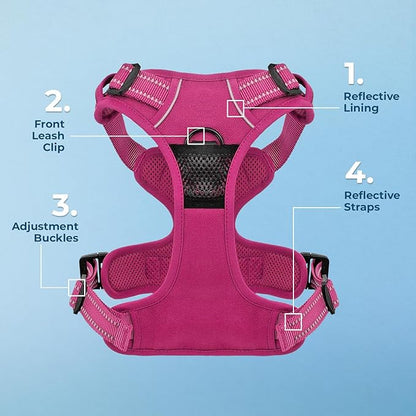 Voyager Dog Harness Dual Leash Attachment No-Pull Control Adjustable Soft but Strong Pet Harness for Medium and Large Dogs with 3M Reflective Technology, Leash Set Fuchsia Nylon, M (Chest: 20-25")