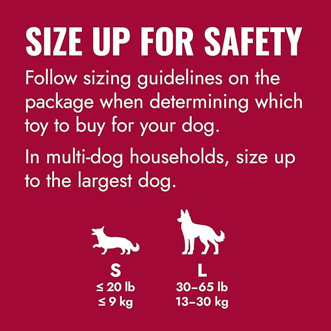KONG Flyer - Durable Dog Toy for Outdoor Playtime - Natural Rubber Flying Disc, Dog Toy for Fetch - Safer Disc for Healthy Activity - for Small Dogs (Pack of 2)