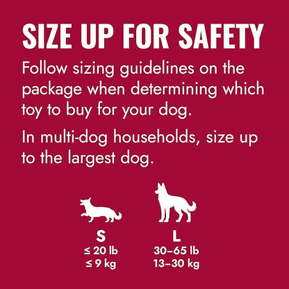 KONG Flyer - Durable Dog Toy for Outdoor Playtime - Natural Rubber Flying Disc, Dog Toy for Fetch - Safer Disc for Healthy Activity - for Small Dogs (Pack of 2)