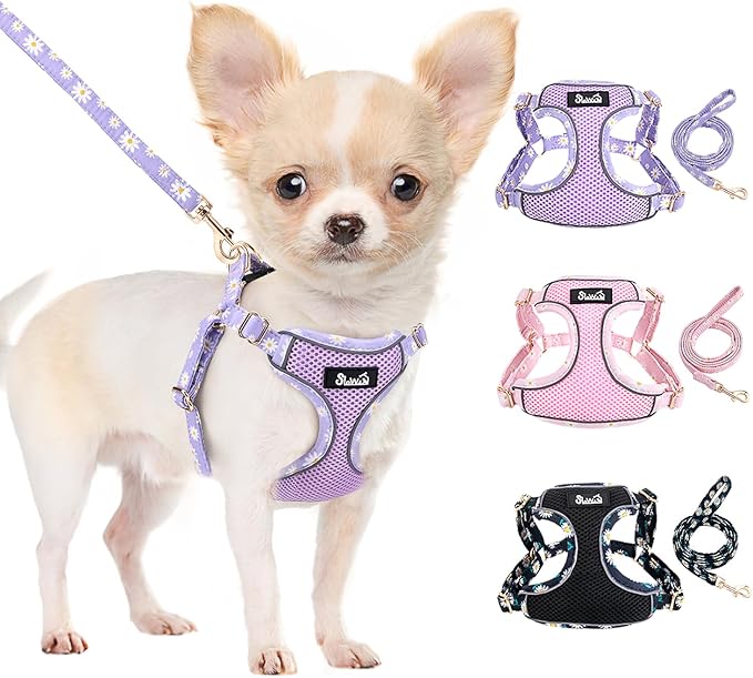 Lukovee No Pull Puppy Harness and Leash Set - Soft Lightweight Escape Proof Puppy Vest Harness, Breathable Adjustable Pet Harness with Dog Leash for Small Dogs (Purple, XS)