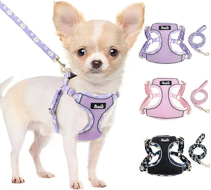Lukovee No Pull Puppy Harness and Leash Set - Soft Lightweight Escape Proof Puppy Vest Harness, Breathable Adjustable Pet Harness with Dog Leash for Small Dogs (Purple, S)