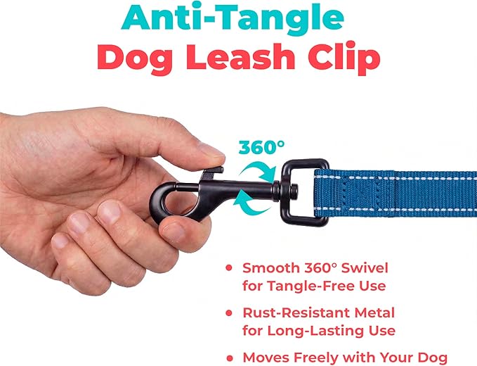 Best Pet Supplies Voyager Reflective Dog Leash or Collar with Neoprene Handle, for Small, Medium, and Large Breed Puppies, Cute and Heavy Duty for Walking, Running and Training - Royal Blue (Leash), L