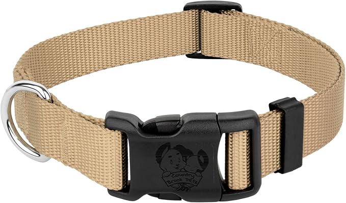 Country Brook Petz - Everyday Nylon Dog Collar for Large, Medium, and Small Dogs and Puppies - for Everyday Use in 10+ Warm Colors (3XS, 3/8 Inch Wide, Copper Gold)