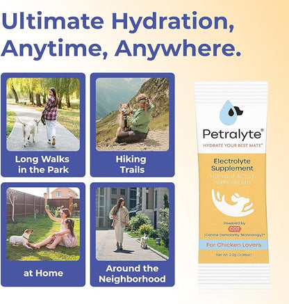 Petralyte Dog Electrolytes and Joint Supplement | Hydration Support for Dogs w/Glucosamine, Chondroitin & More | Electrolytes for Dogs with Prebiotics | for Chicken Lovers | 32 Packets