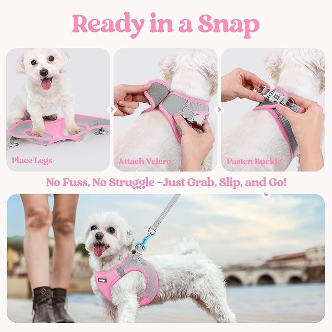 rabbitgoo Dog Harness Small Sized and Leash Set, Step in Soft Light Puppy Vest, Breathable Mesh Pet Harness, Reflective for Safe Easy Walking, Pink & Gray XXS