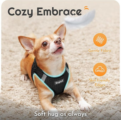 Eagloo Small Dog Harness and Leash Set, Step in Puppy Vest with Breathable Soft Mesh, Walking Reflective Pet Harness for Medium Small Dogs, Black, M