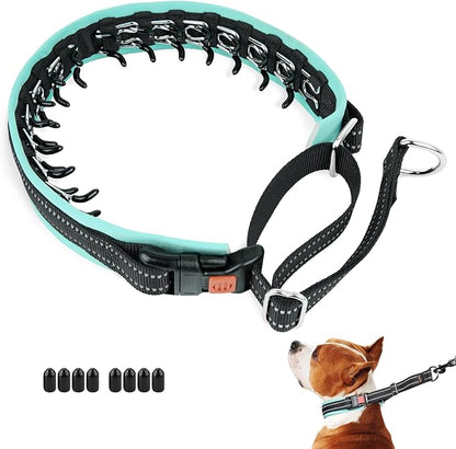 Mayerzon Martingale No Pull Collar for Small Medium Dogs, Patented Anti Pull Dog Collar with Buckle for Walking Training, with Neoprene Padding and Reflective Stitching, Adjustable(Teal Trim, S)