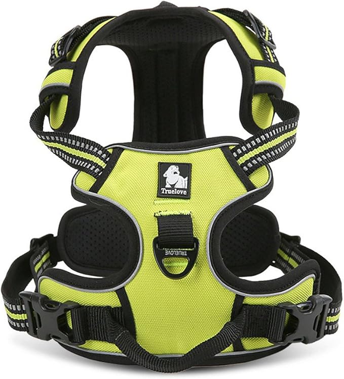 Creation Core Reflective Nylon Dog Harness and Training Leash Set Padded Durable Adjustable, Green XS