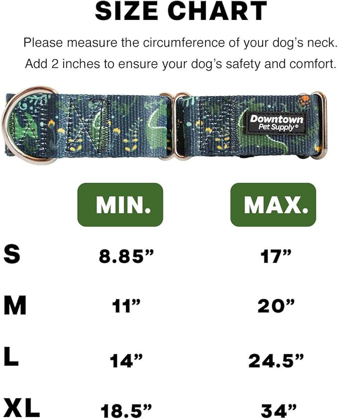 Downtown Pet Supply - Martingale Collar for Dogs - Dog Training Collar - Big, Wide & Thick Dog Collar - Escape-Proof, Weatherproof, Durable and Comfortable - Dino - Medium Dog Collar