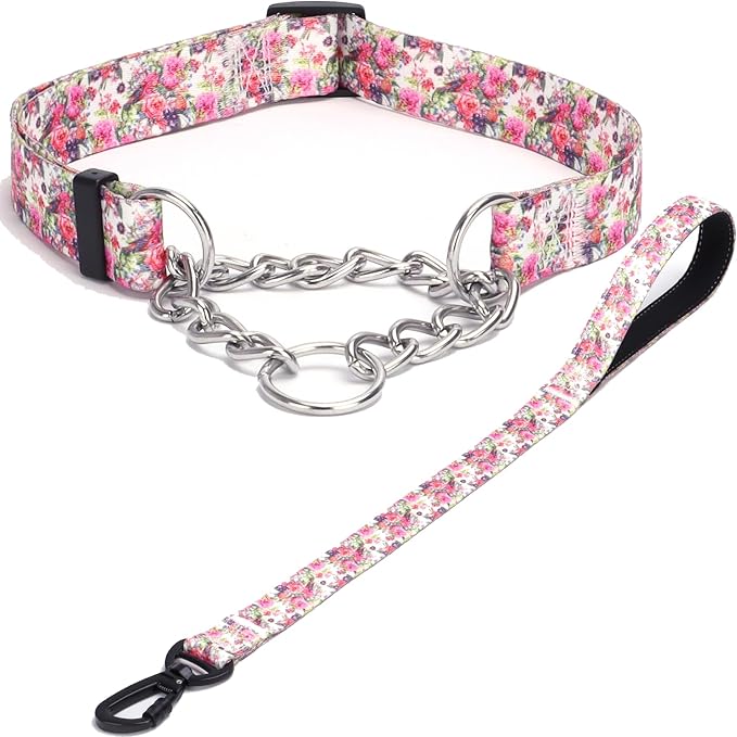 Martingale Dog Collar with Stainless Steel Chain - Limited Chain Cinch Training Collar for No Pull Training Dog - Flower Multicolor Cute Patterns - Premium No Slip Collar (L, Peony Set)