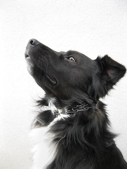 Herm Sprenger Stainless Steel Prong Dog Training Collar Ultra-Plus Pet Pinch Collar No-Pull Collar for Dogs Anti Pull Training Collar Made in Germany 3.2mm x 23in Medium