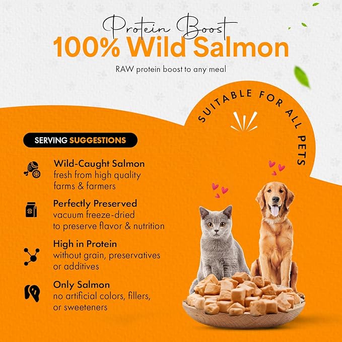Freeze Dried Salmon Cat Treats | 100% Wild Caught Salmon Dog Treats, Grain- Free | High Protein, Single Ingredient Cat & Dog Food Toppers | No Additives or Preservatives | Tested in USA | 1.4 oz