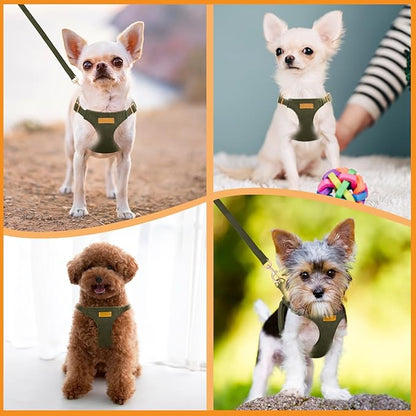 SlowTon Dog Harness Small Sized Dog - Soft XXS Dog Harness and Leash Set No Pull No Chock, Adjustable Lightweight Puppy Harness for XS Small Medium Dogs Cats (Solid Military Green, M)