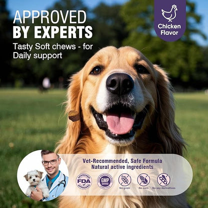 Dog Allergy Chews 200ct - Dog Allergy Itching Skin Relief & Immune Support Anti Itch Probiotics for Yeast, Itchy Skin and Itchy Ears, Vitamins for Seasonal Allergies Itchy Skin, Gut Health, Chicken