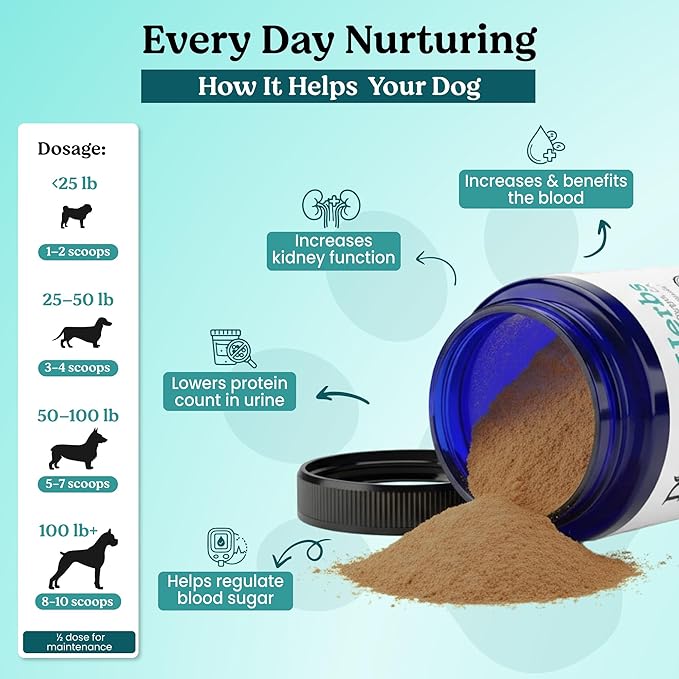 Organic Kidney Support & Renal Health- Rehmannia & Cordyceps Powder- TCM Doctor Formulated Tonic for Bladder Health, Incontinence & Kidney Function- Human Grade Supplement for Senior Dogs