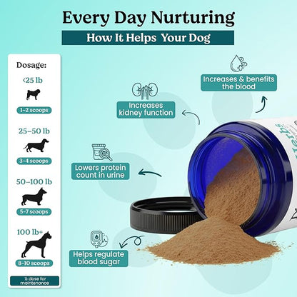 Organic Kidney Support & Renal Health- Rehmannia & Cordyceps Powder- TCM Doctor Formulated Tonic for Bladder Health, Incontinence & Kidney Function- Human Grade Supplement for Senior Dogs