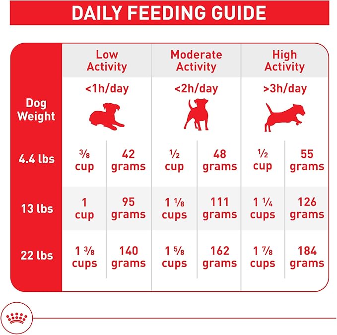 Royal Canin Size Health Nutrition Small Indoor Adult Dry Dog Food, 2.5 lb Bag