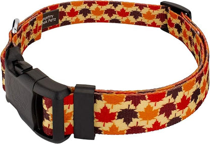 Country Brook Petz - Nature Walk Everyday Dog Collar and Leash Limited Edition - Awesome Autumn Collection Featuring Designs You Will Fall for (1 Inch, Extra Large)