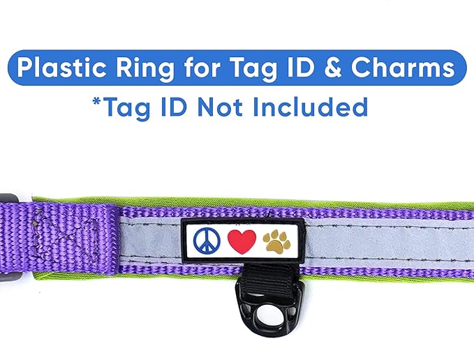 Pawtitas Lumberjack Padded Martingale Collar for Dogs | Soft Neoprene Dog Collar for Your pet's Comfort Made with Reflective Band for Maximum Visibility | Fits Small and Large Pets - Medium Purple