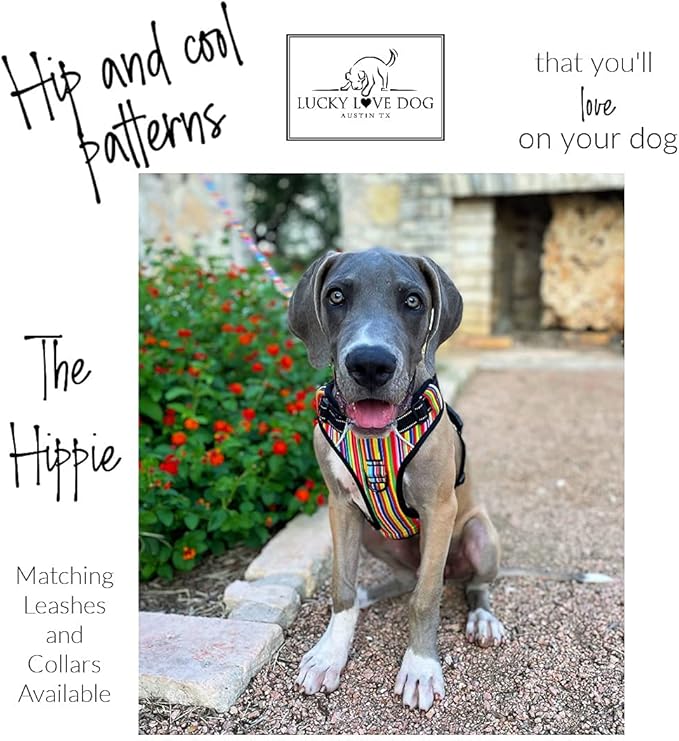 Lucky Love Dog Harness, Easy to Walk, No Pull Dog Harness, Adjustable Custom Fit (Hippie, Medium)