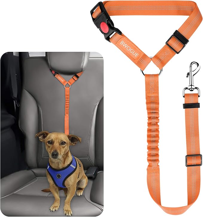 BWOGUE Pet Dog Cat Seat Belts, Car Headrest Restraint Adjustable Safety Leads Vehicle Seatbelt Harness (1 Pack, Orange, Elastic)