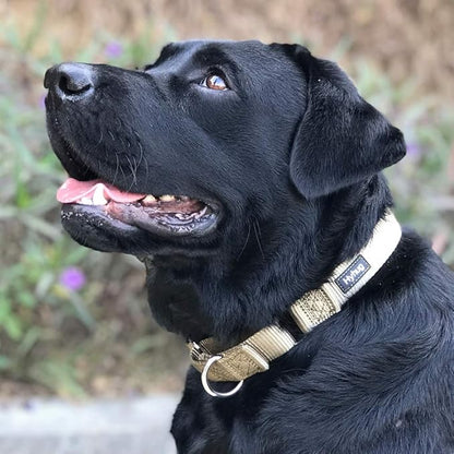 Hyhug Martingale Dog Collar Medium Green |Escape - Proof Heavy Duty Nylon Durable No Slip, Ideal for Training & Daily Walks