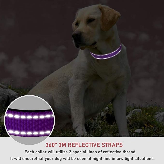 Reflective Dog Collar with Buckle Adjustable Safety Nylon Collars for Small Medium Large Dogs, Purple XS