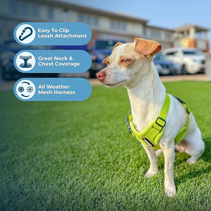 Best Pet Supplies Voyager Step-in Air Harness - All Weather Mesh, Reflective, No Pull Harness for Dogs, Cats - Secure with Hook & Loop Fastener, Buckle, Double D-Rings - Lime Green, XXS