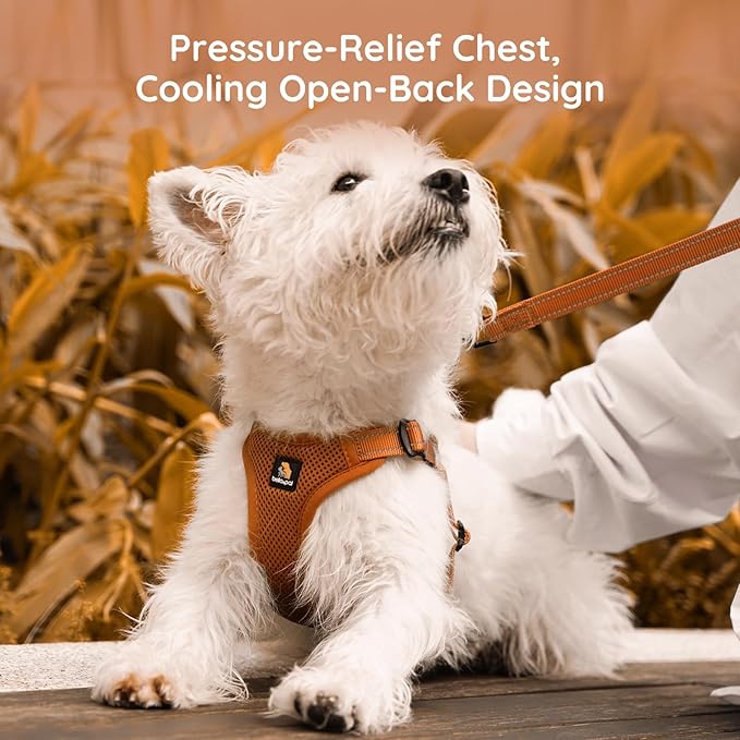 BELLA & PAL Adjustable Step-in Dog Harness, Puppy No-Pull Vest with Leash Set for XS/Small & Medium Dog, Breathable All-Weather Mesh, Reflective Strip, Secure Hook & Loop, Buckle Closure (Mokka, S)