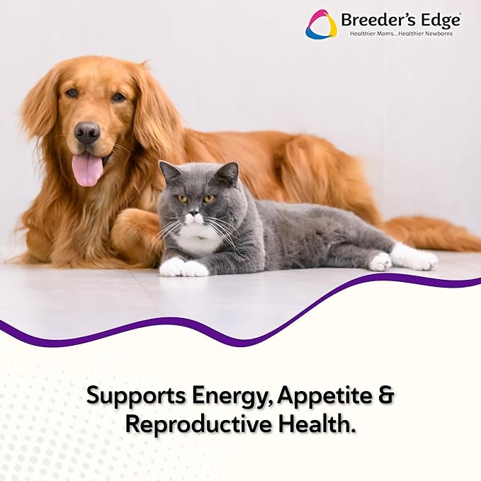Breeder’s Edge B Strong Powder, B-Complex Vitamin Supplement for Dogs and Cats, Supports Reproductive Health, Promotes Normal Heat Cycles, and Helps Maintain Energy, 300g