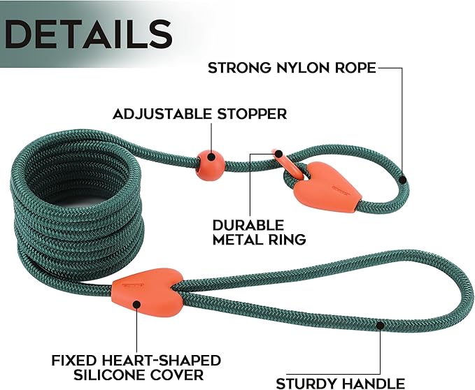 Slip Lead for Dogs Dog Leash Dog Leash for Small Medium Dogs Puppy Leash 6FT 6 Colors Strong Nylon Dog Training Leash No Pull Rope (Green)