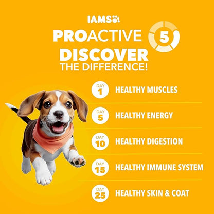 IAMS Proactive Health Dry Dog Food, Premium Dog Food Dry Recipe, 15 lb. Bag