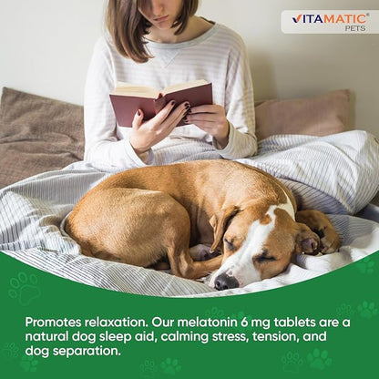 Vitamatic Melatonin for Dogs – 6 mg – 120 Chewable Tablets (Pack of 3) Beef Flavored – Natural Calming Aid for Dogs – Non-Habit Forming – Stress & Sleep Support