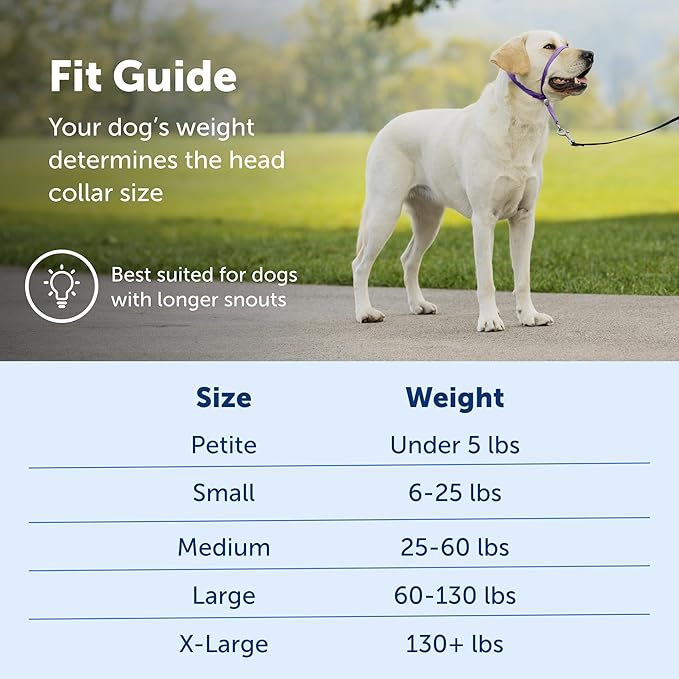 PetSafe Gentle Leader Headcollar No-Pull Dog Collar - Helps Improve Walks - Durable Nylon Construction - Padded Nose Loop - Adjustable Fit - Comfort Walking Halter - Large, Charcoal (Pack of 6)
