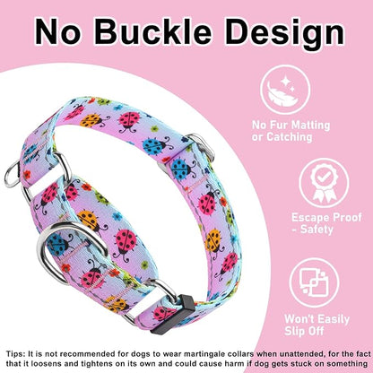 Reflective Martingale Collar for Dogs Nylon Training Collar with No Buckle, No Pull Adjustable Dog Collar for Large Dogs（Gradient Ladybug，L）