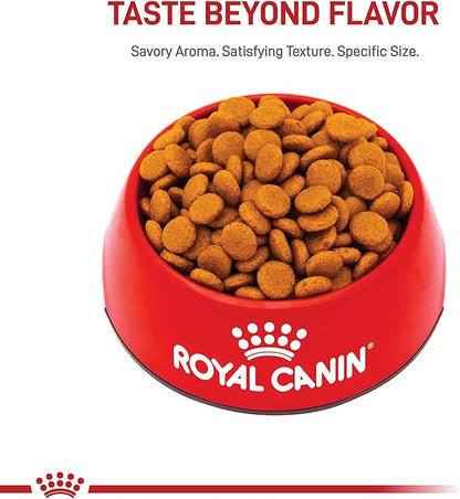 Royal Canin Canine Care Nutrition Medium Digestive Care Adult Dry Dog Food, 30 lb Bag
