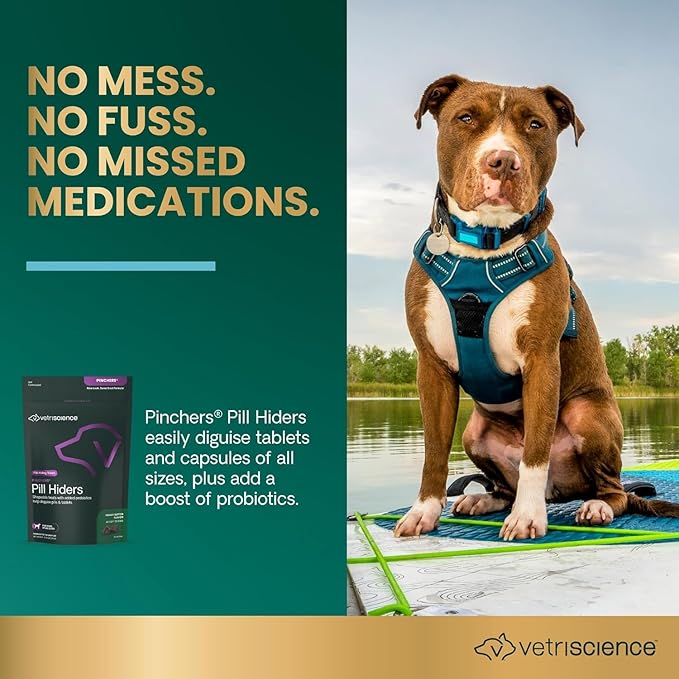 VetriScience Pinchers Pill Hiders Chews, Non-Greasy with Probiotics for Dogs, Disguise Small Capsules and Tablets, Soft and Chewy, Gut and Immune Support, Peanut Butter, 45 Count