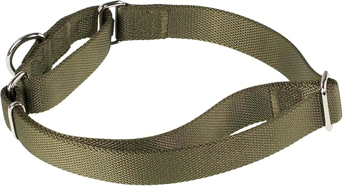 Hyhug Martingale Dog Collar Medium Green |Escape - Proof Heavy Duty Nylon Durable No Slip, Ideal for Training & Daily Walks