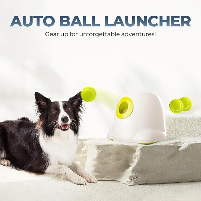 ALL FOR PAWS Automatic Dog Ball Launcher, Interactive Fetch Toy for Medium to Large Dogs, Rechargeable Pet Ball Thrower Machine for Outdoor Play, 6 Pcs 2.5-Inch Balls Included