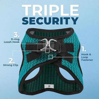Best Pet Supplies - All Weather Mesh/Plush, Reflective, No Pull Harness for Small, Medium Dogs, Cats - Secure with Hook & Loop Fastener, Buckle, Double D-Rings - Turquoise 2-Tone, S