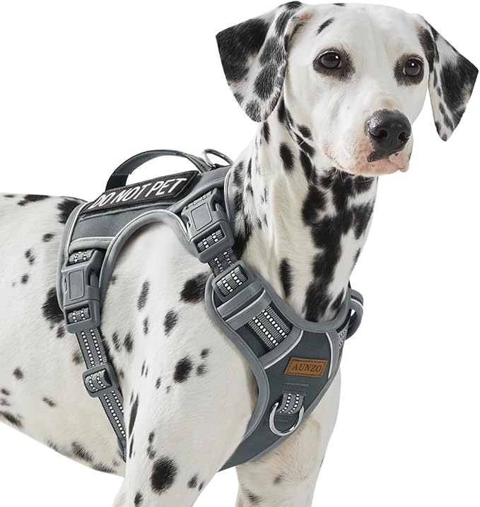 AUNZO Service Dog Vest Harness with 2 Velcro Patches, No Pull Dog Harness for Walking Training Hiking, Metal D-Rings Easy on/Off Neck Buckle Reflective Strips Soft Padded Handle, Gray