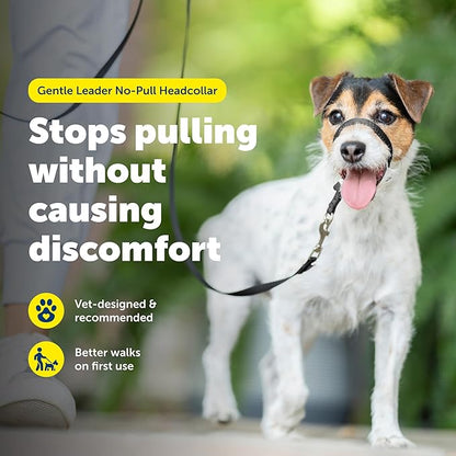 PetSafe Gentle Leader Headcollar No-Pull Dog Collar - Helps Improve Walks - Durable Nylon Construction - Padded Nose Loop - Adjustable Fit - Comfort Walking Halter - Small, Charcoal