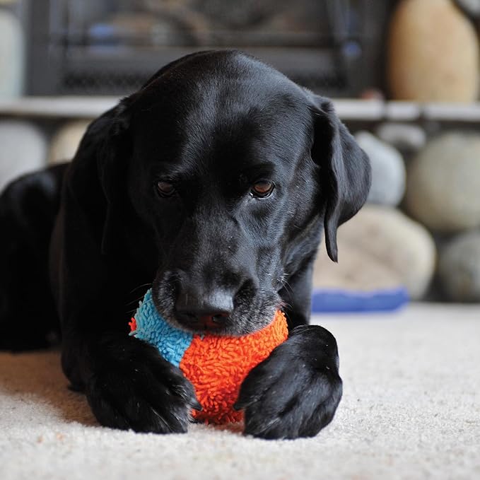 Chuckit! Indoor Fetch Shaker for Dogs - Interactive Dog Toys for Boredom, 7.75 Inch, Orange and Blue