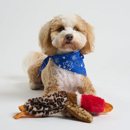 SPOT Skinneeez Mini Mallard Duck 13 Inch Stuffing-Free Plush Squeaky Dog Toy – Soft Interactive Toy for Small and Medium Dogs – Mess-Free Play for Light & Moderate Chewers – Assorted Styles