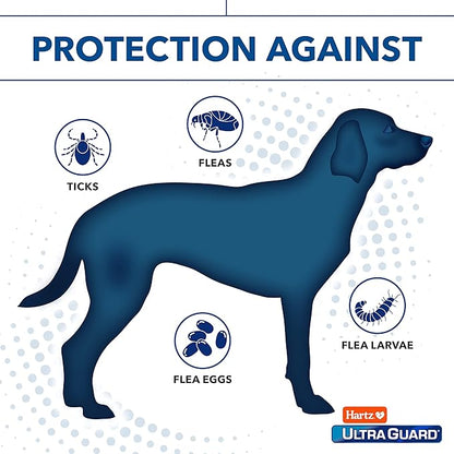 Hartz UltraGuard Plus Flea & Tick Collar for Dogs and Puppies, 7 Month Flea and Tick Prevention and Protection Per Collar, Reflective Orange, up to 22 Inch Neck (Pack of 2)