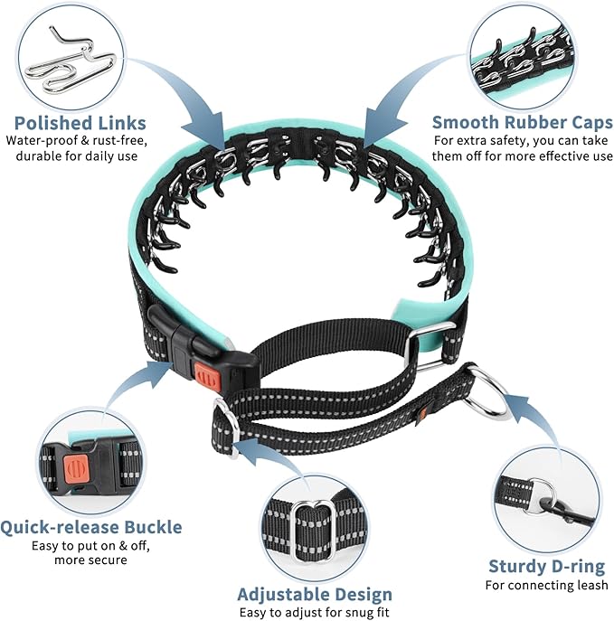 Mayerzon Martingale No Pull Collar for Small Medium Dogs, Patented Anti Pull Dog Collar with Buckle for Walking Training, with Neoprene Padding and Reflective Stitching, Adjustable(Teal Trim, S)
